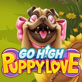 Play Go High Puppy Love slot by RubyPlay on roulettinoscasino.com